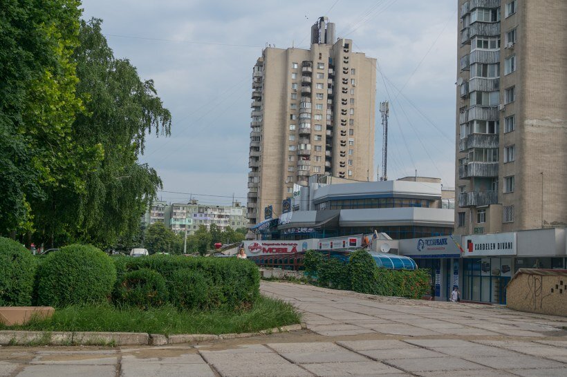 Ботаника