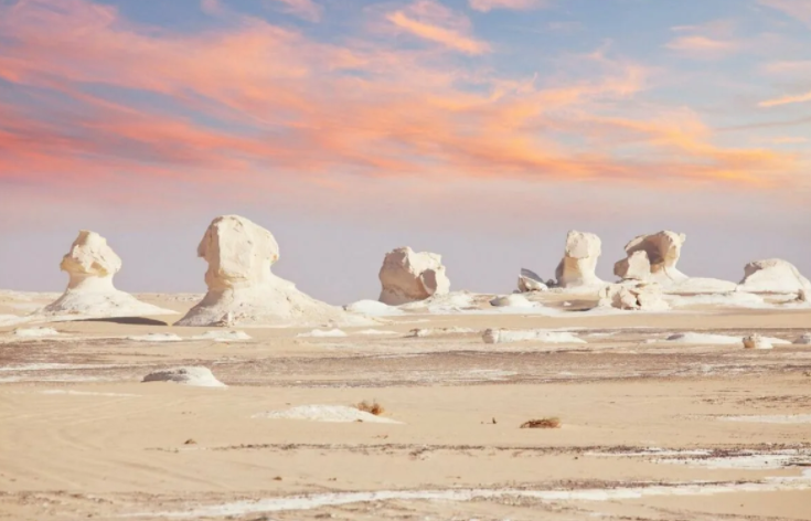 Фото из открытого источника