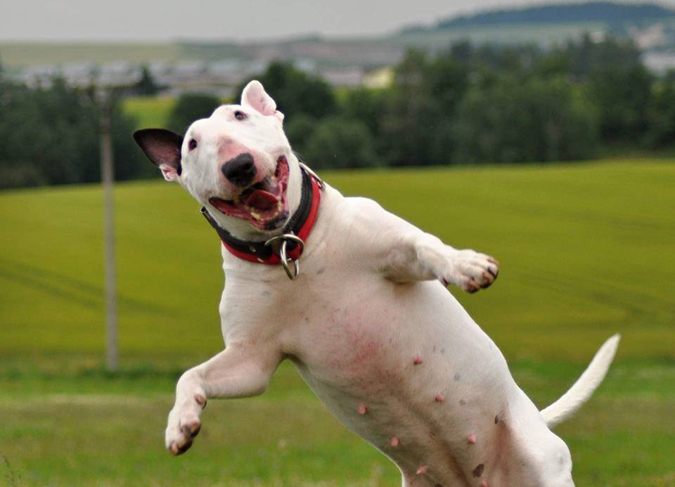 Так, ну, пока не страшно.  