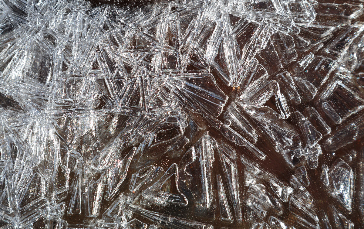 © Станислав Альтер, 2019