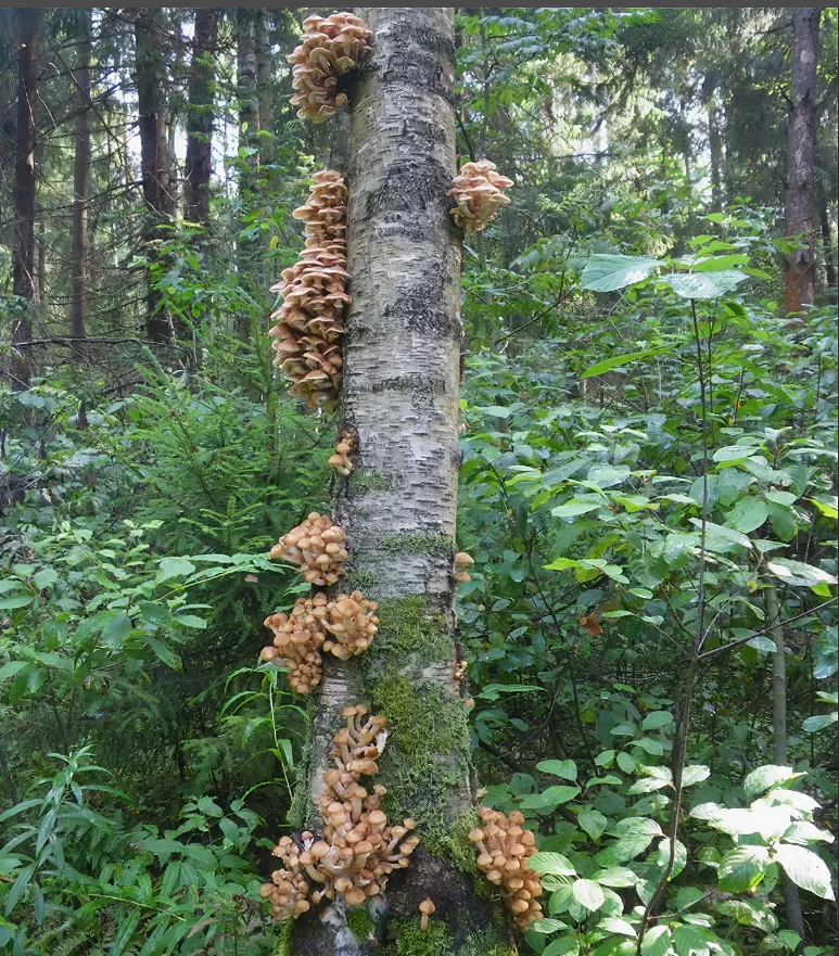 Фото Александра Гавристова.