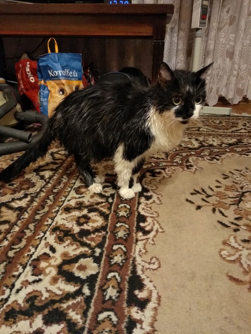 Глафира после водных процедур