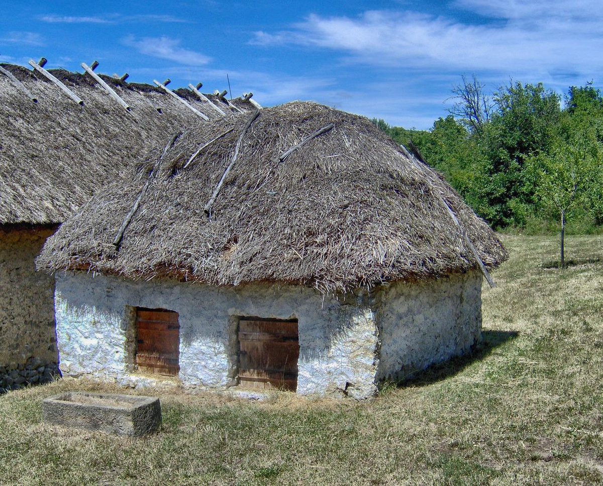 Фото из открытого доступа в Интернете.