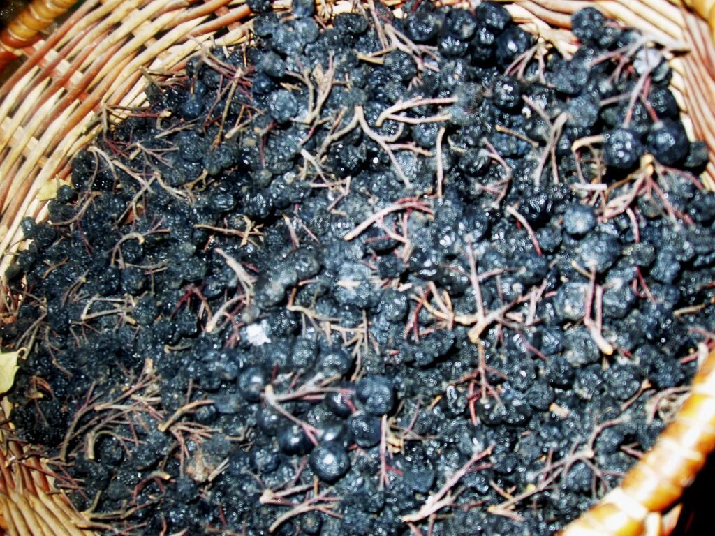 Фото из интернета