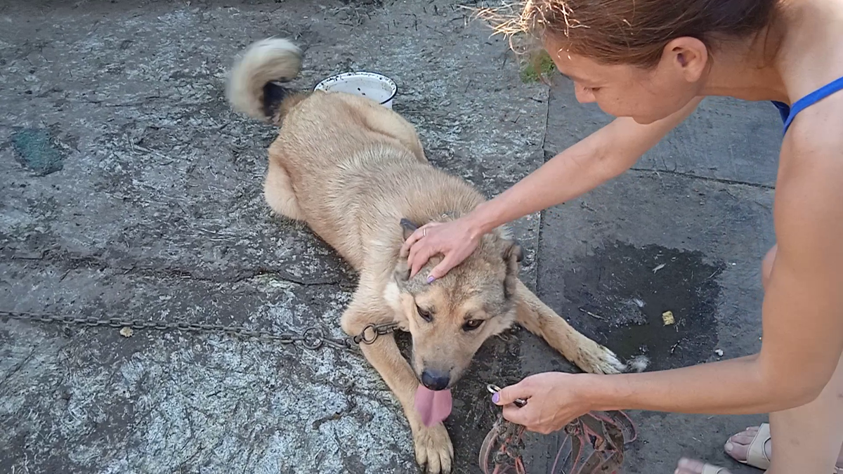 Согласен! Иду с вами))
