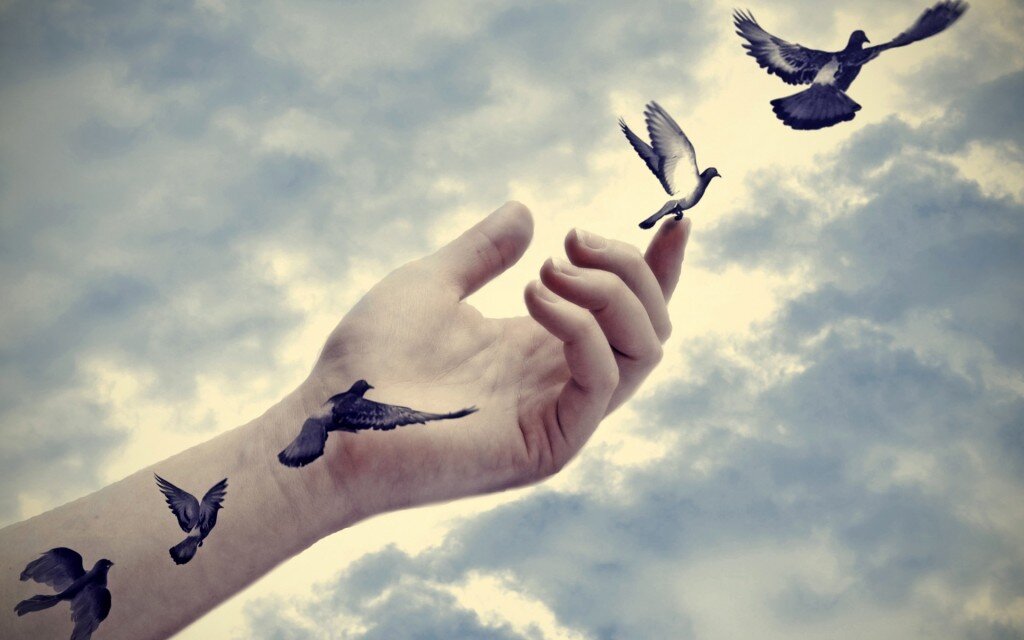 Фото из интернета