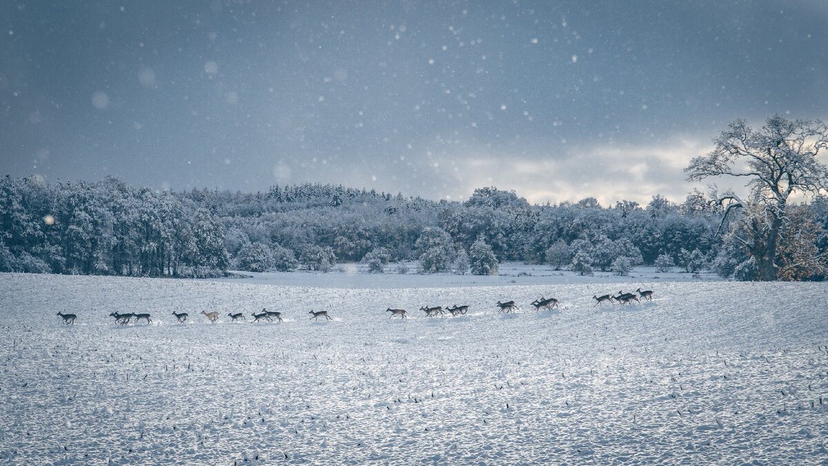 Картинка с бесплатного фотостока https://unsplash.com, автор Michael Held