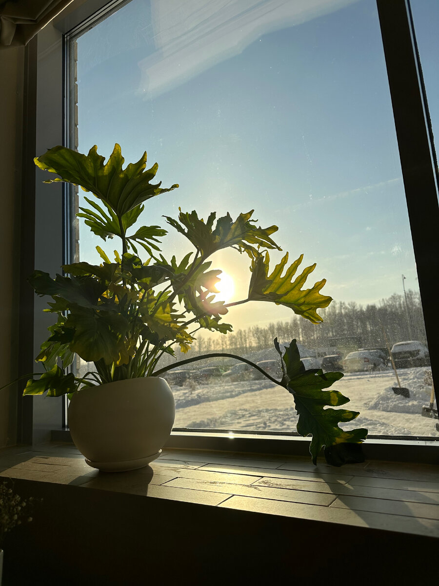 НДА нормальная практика, если его используют правильно. 