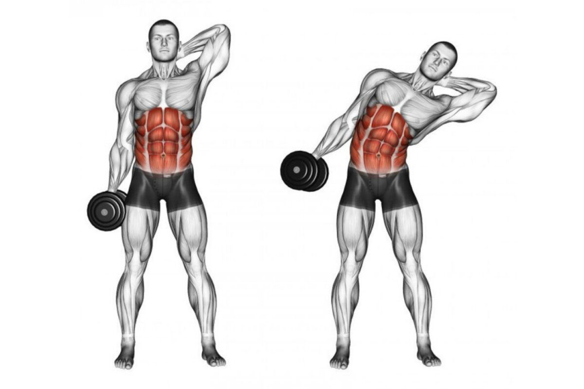 Блок в стороны. Тренировка косых мышц живота для мужчин. Упражнения с гантелями для косых мышц живота. Повороты с гантелями стоя. Упражнения на грудные мышцы с гантелями стоя.