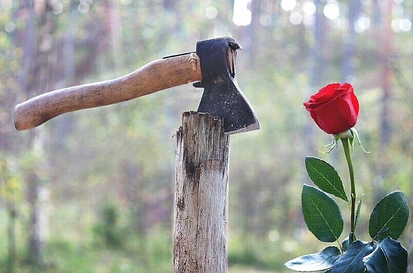 Источник фото: pokayadoma.ru