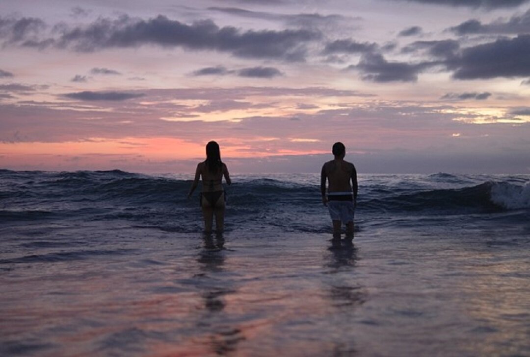 Источник: https://unsplash.com/ 