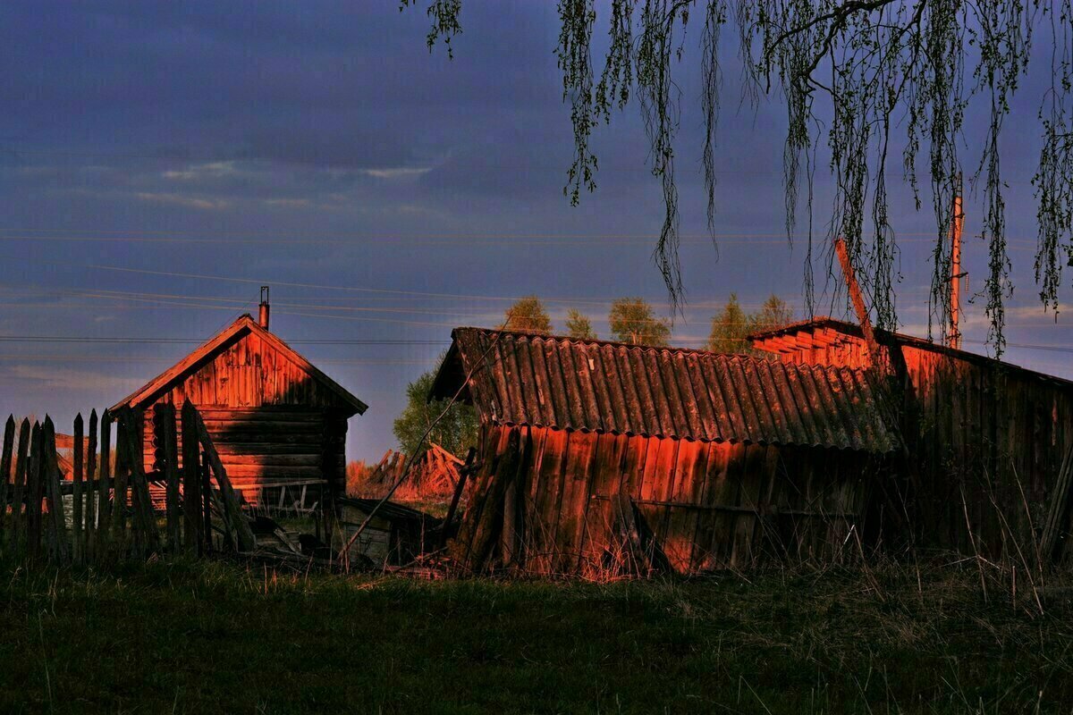 Яндекс.Картинки