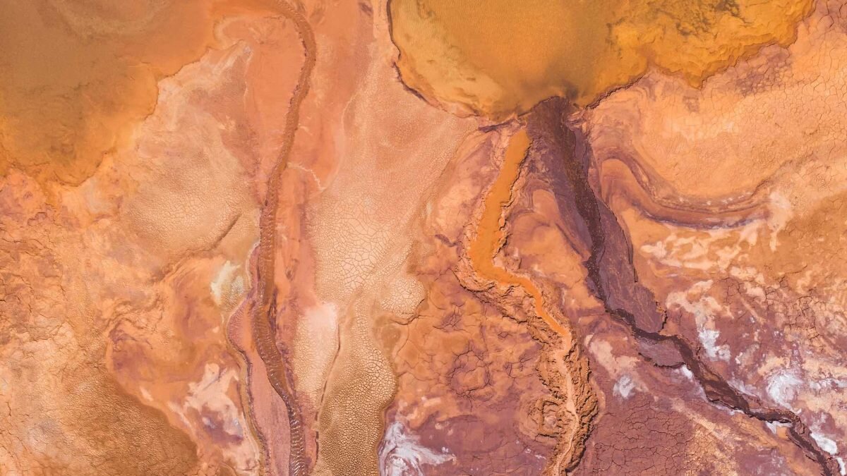    Фото: Unsplash Август Макаров