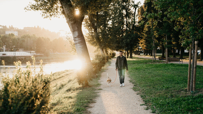   Gettyimages.ru FilippoBacci
