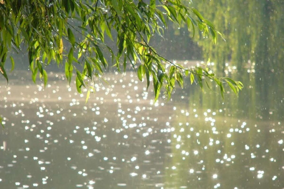 из просторов интернета