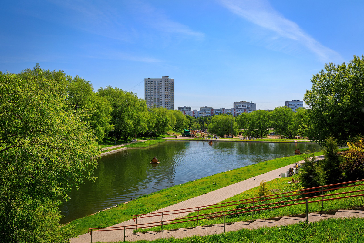 район коньково москва