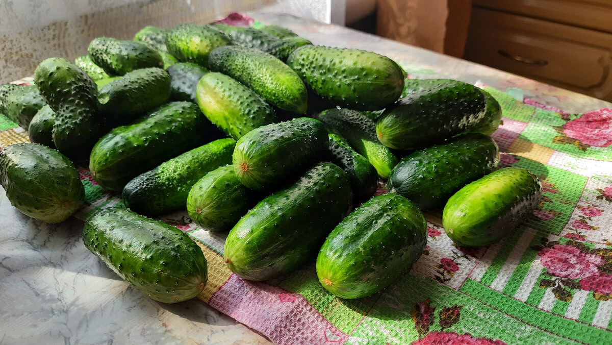 Прямо с грядки!