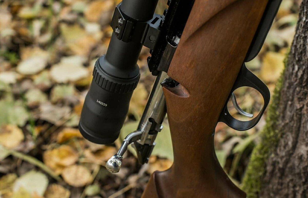    © Kalashnikov Media/Global Look Press