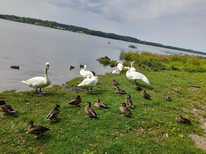 Рига, 17 августа 2023