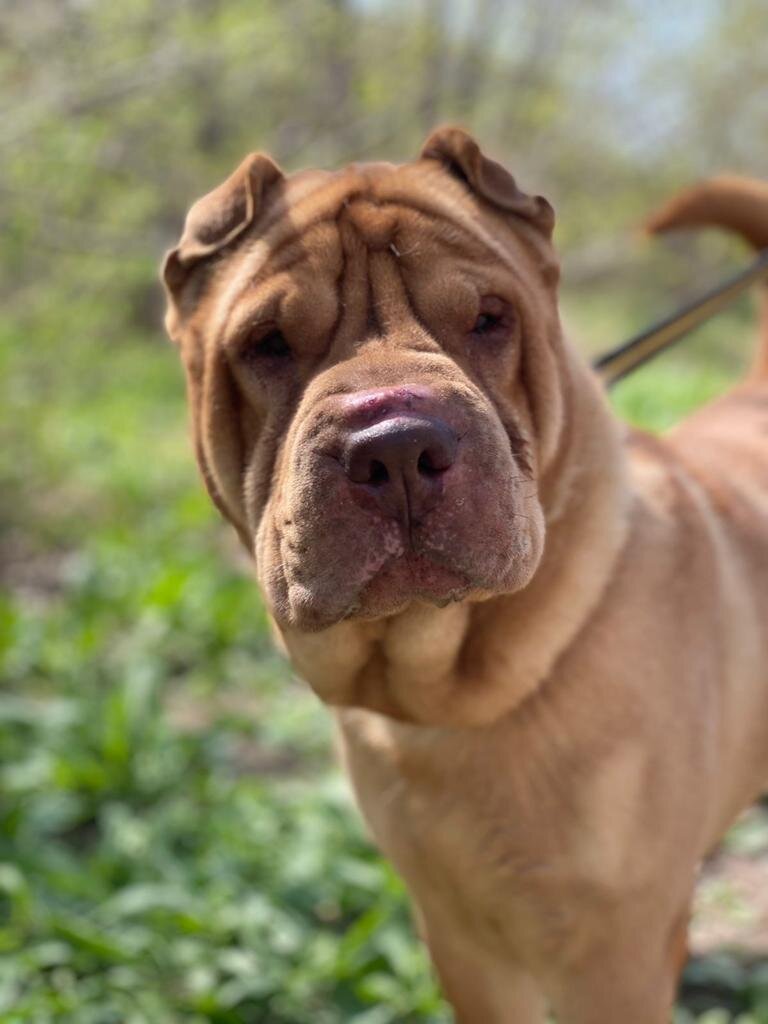 Правда же я красавчик 