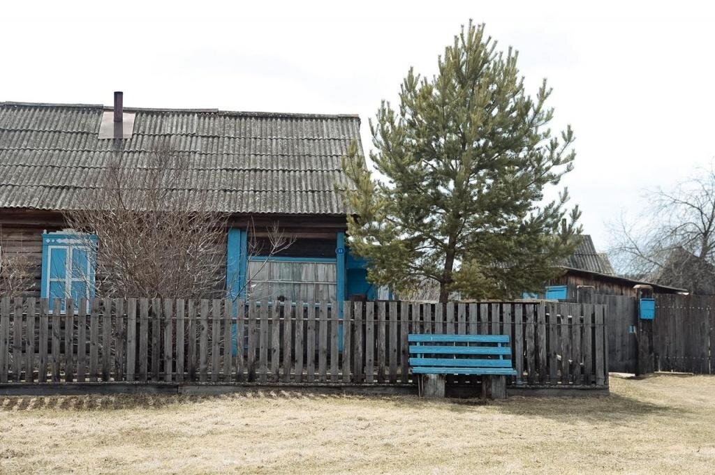    Фото: управление ветеринарии Амурской области