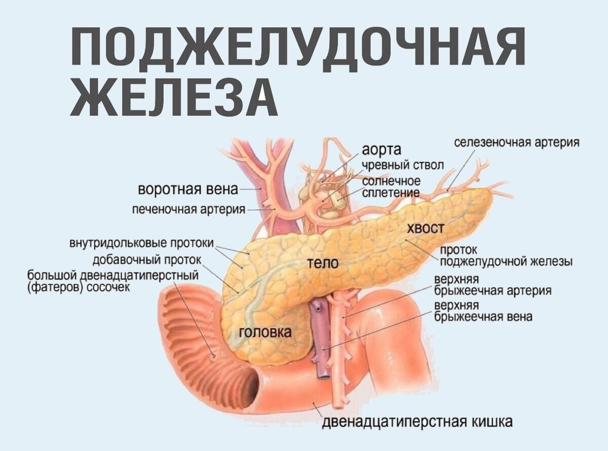 болит простата после оргазма фото 60