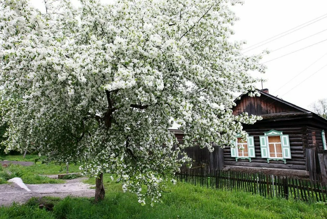 фото из открытых источников сети интернет