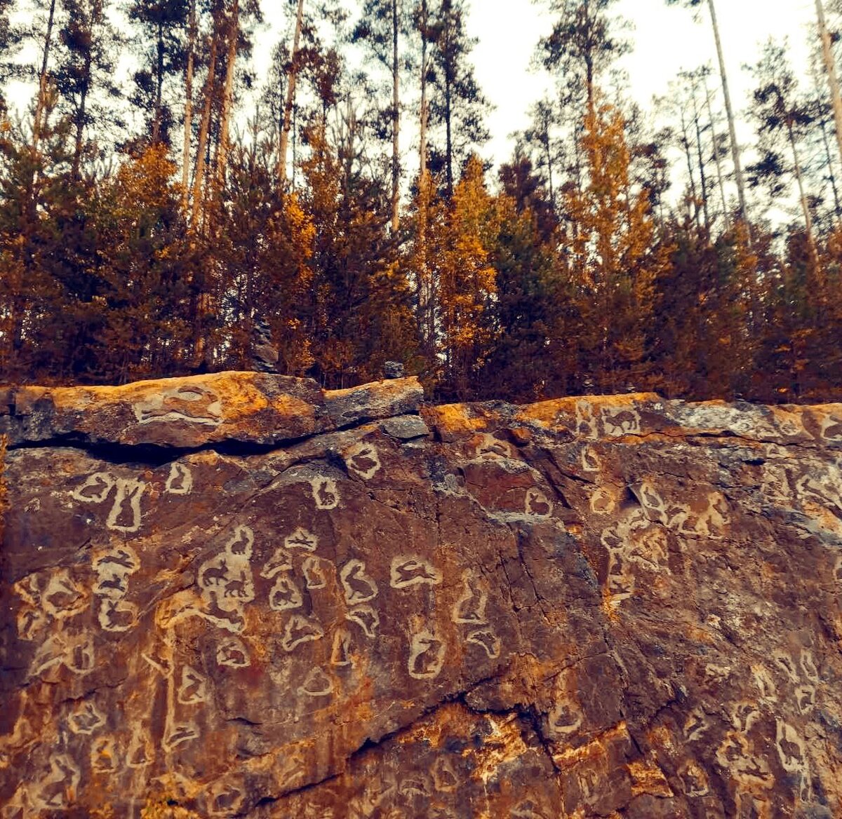 Долина зайцев