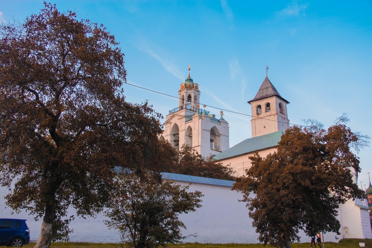    В Ярославле открылся туристический маршрут «Медвежья тропа»