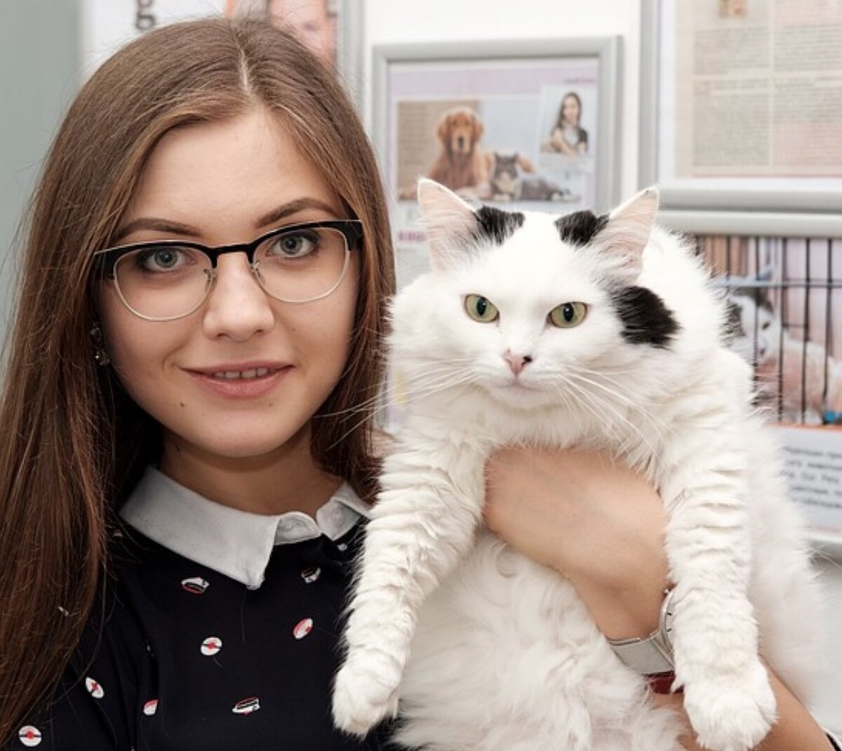 Сотрудник приюта с кошкой Ириской, которая уже нашла дом