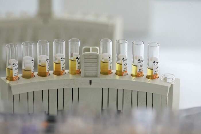 Фото: globallookpress.com