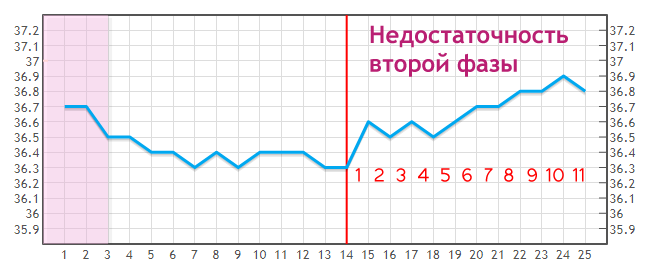 Что такое овуляция и зачем она нужна