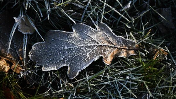 Ссылка на официальную статью - https://ria.ru/20191026/1560248062.html .