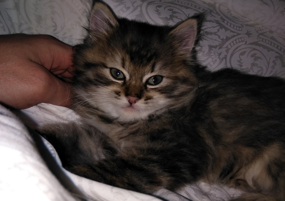 Бусинка в молодости.