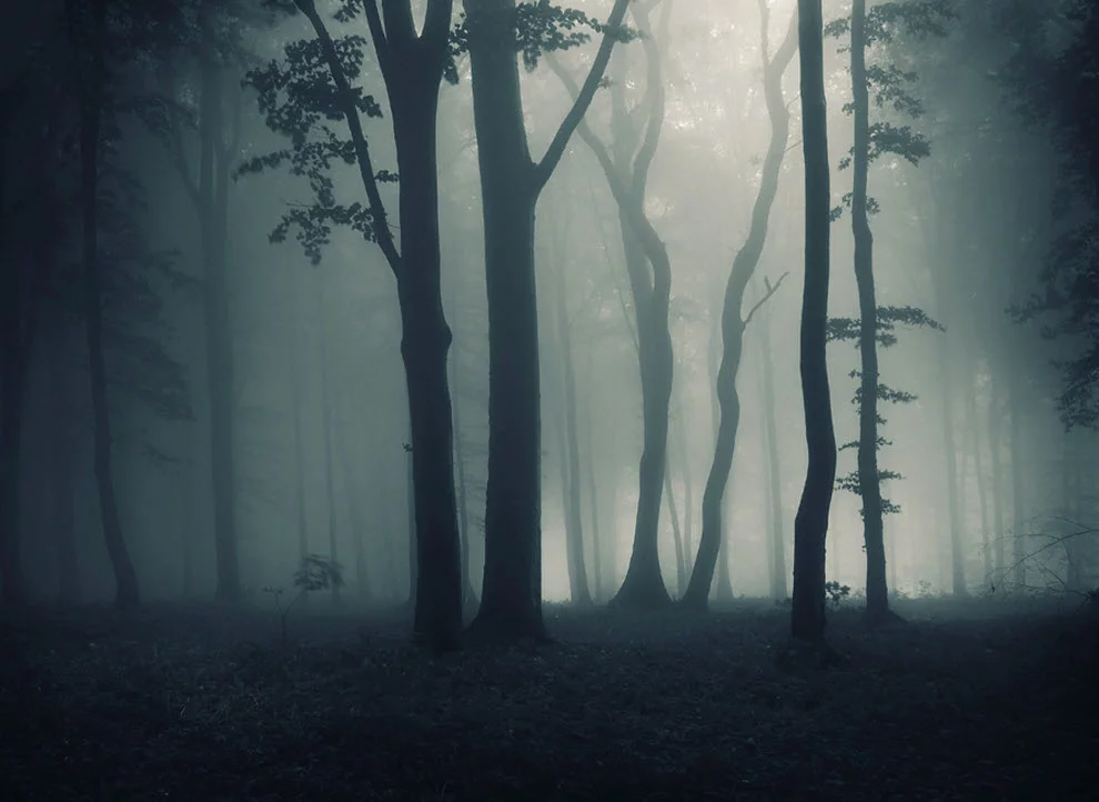 Картинка взята из открытых источников