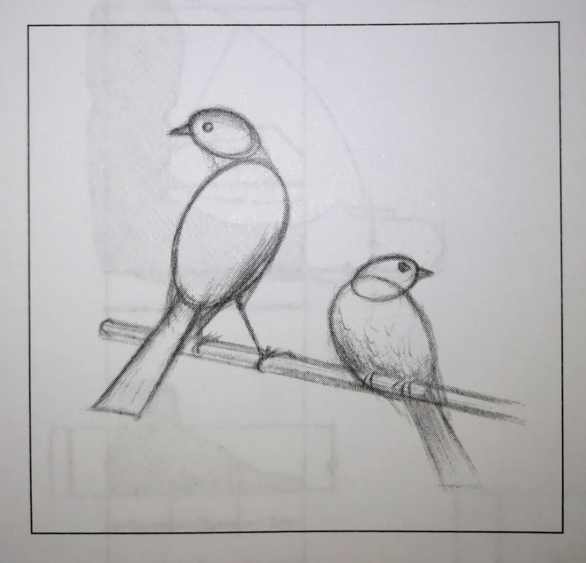 Что нужно знать о композиции. | Творческий переполох | Дзен