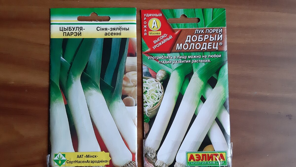 Проверенные семена. Фото автора.