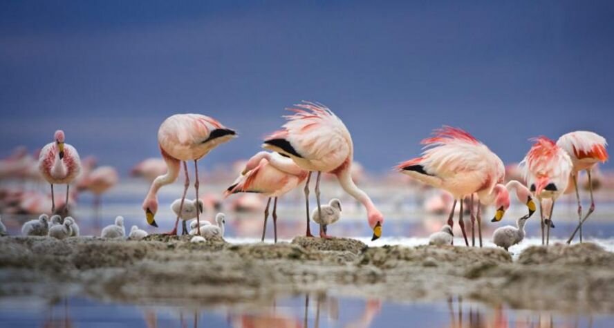 Photograph by George Steinmetz