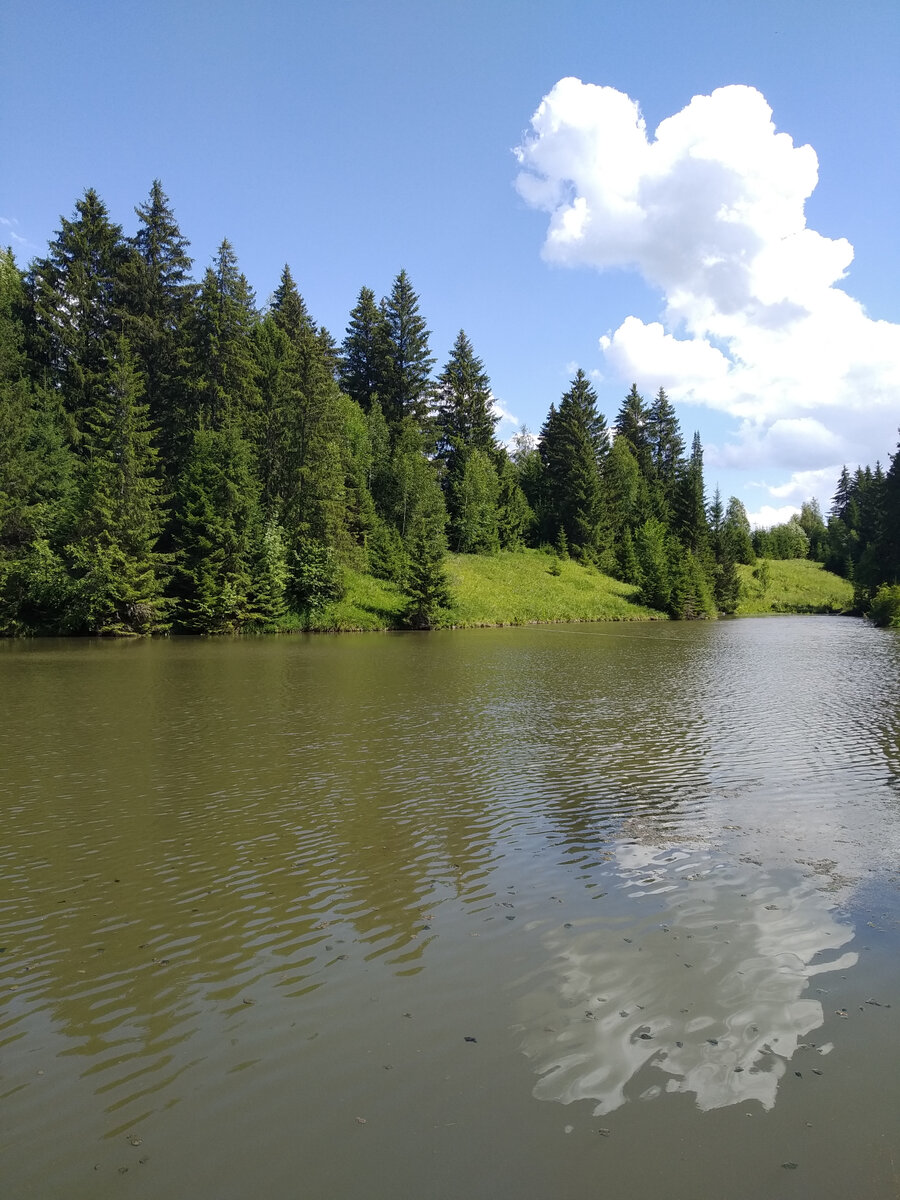 По площади Удмуртская Республика сопоставима с Королевством Дания!