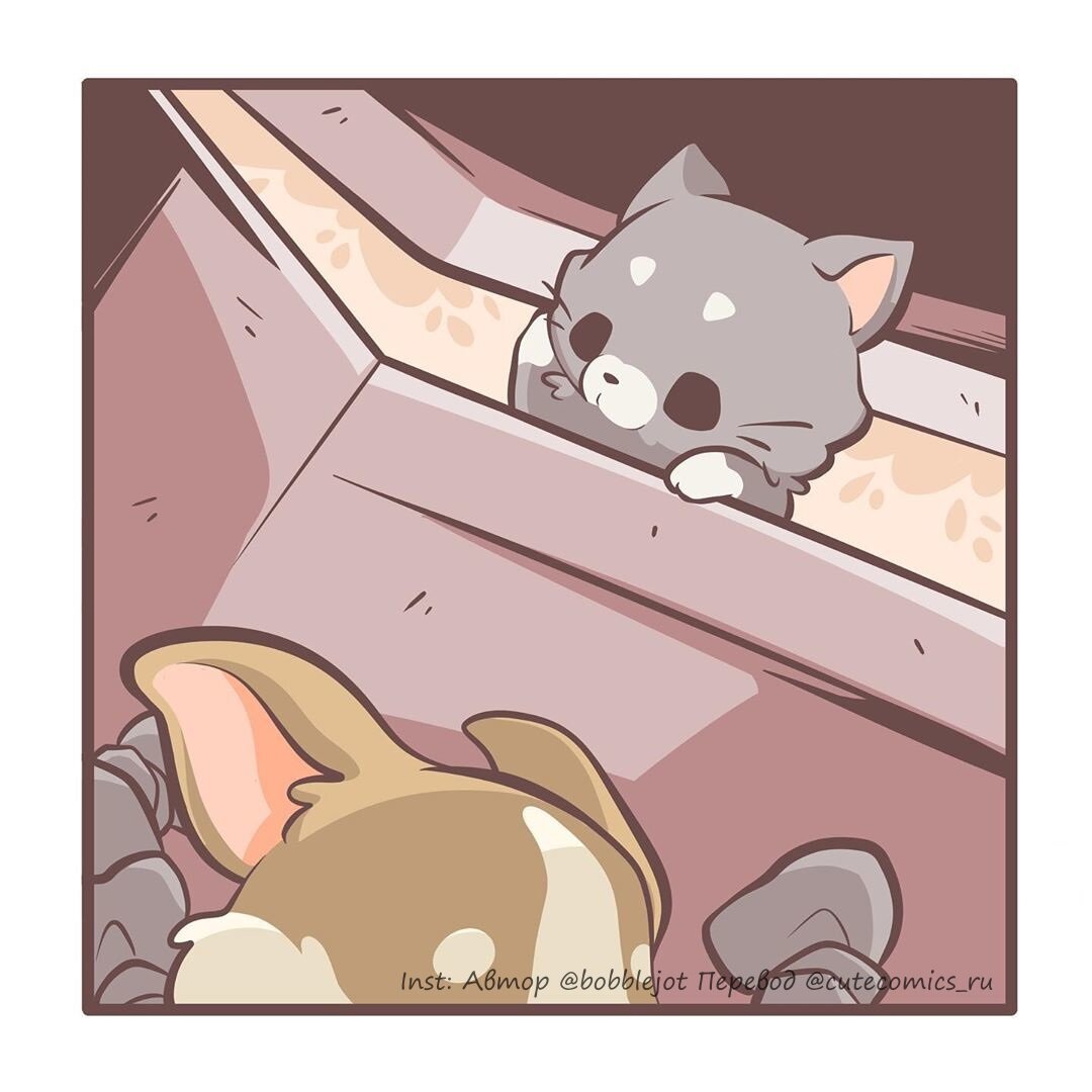 Источник: Instagram @cutecomics_ru