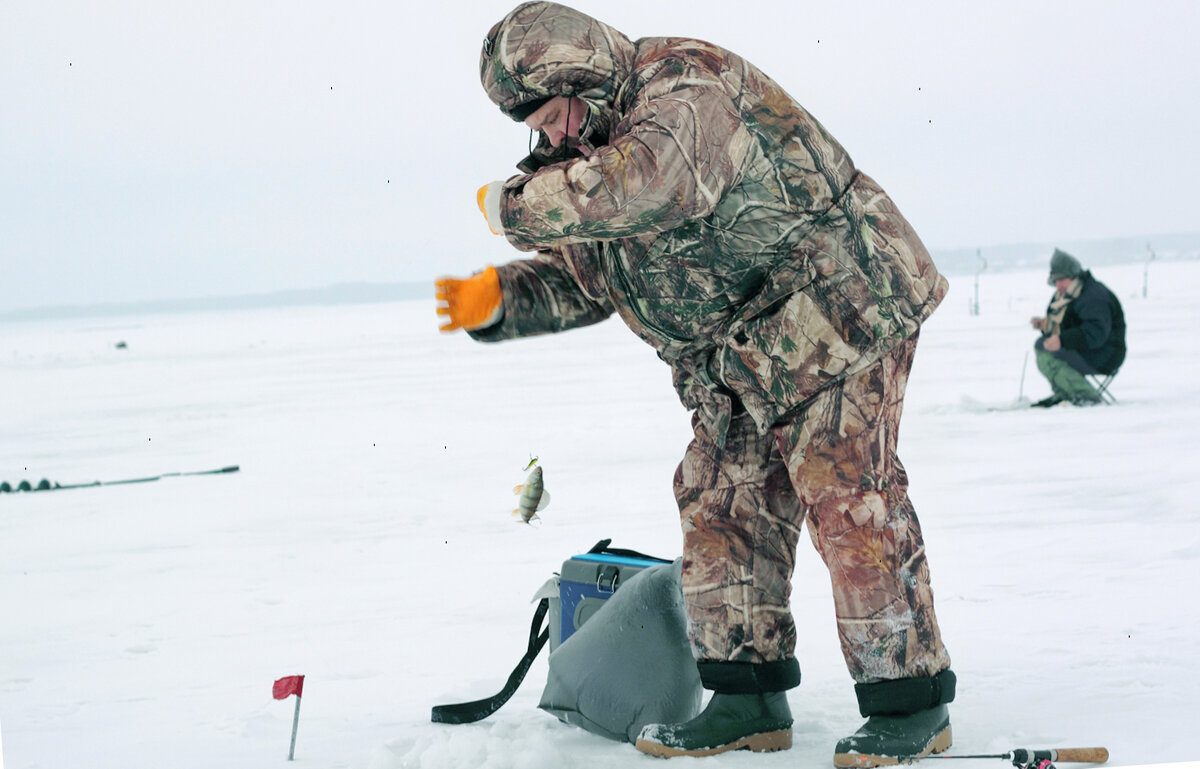 Живца решено было наловить уже на месте