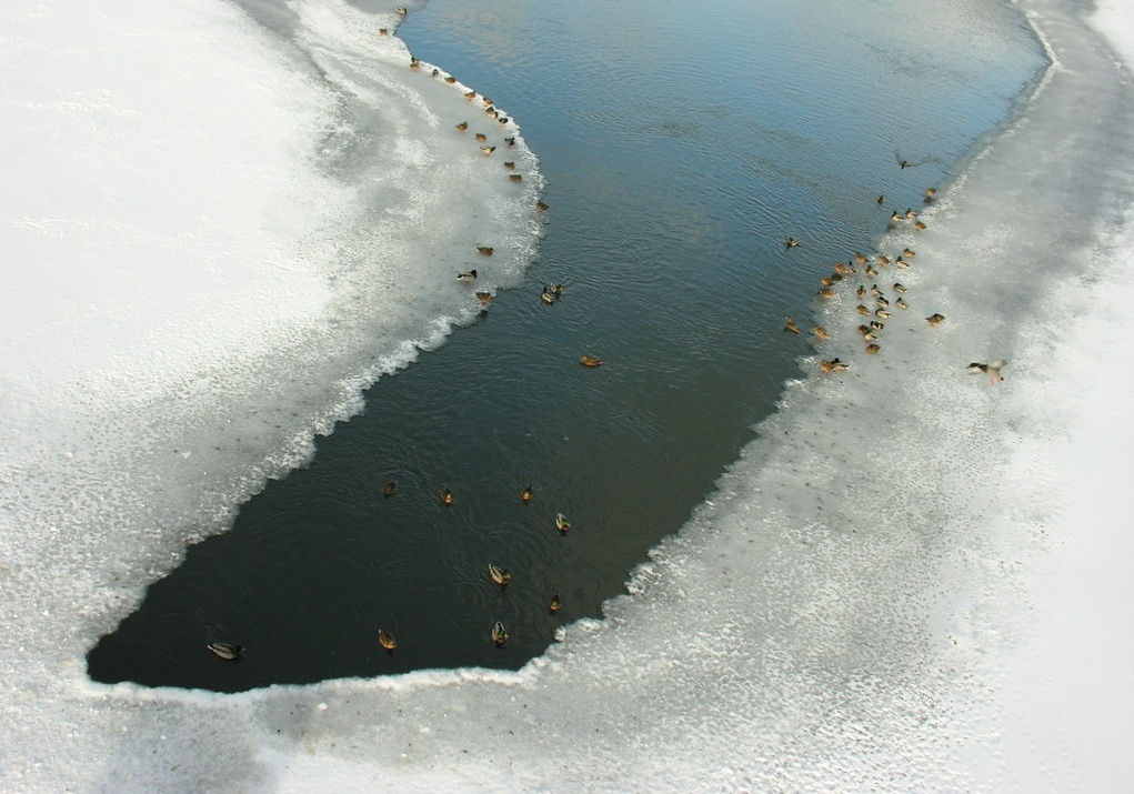 Фото: flickr.com