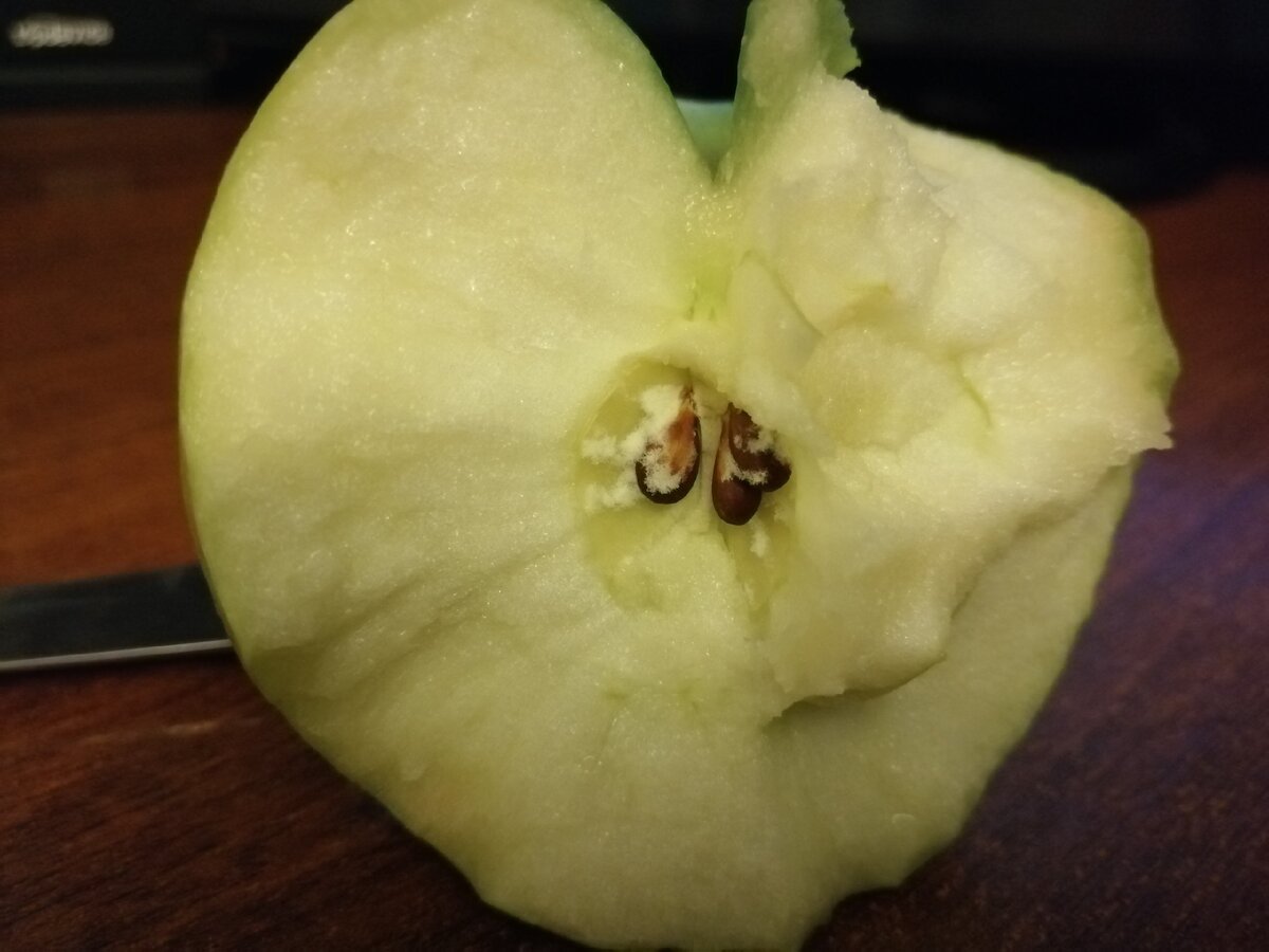 Запах яблок какой. Яблоко внутри. Белое яблоко внутри. Сердцевина яблока.