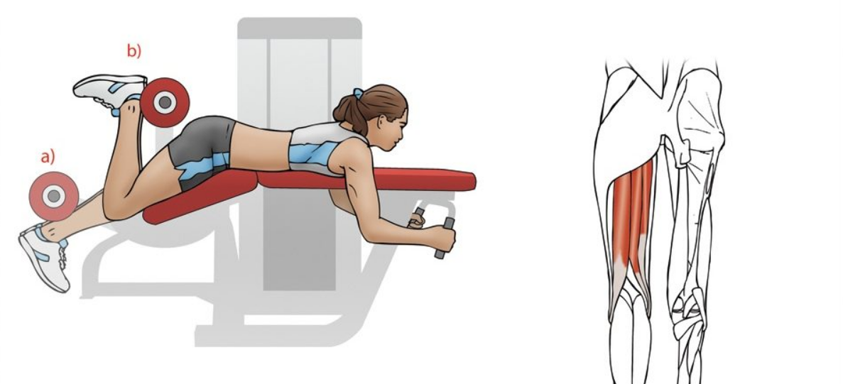 Пример упражнение 