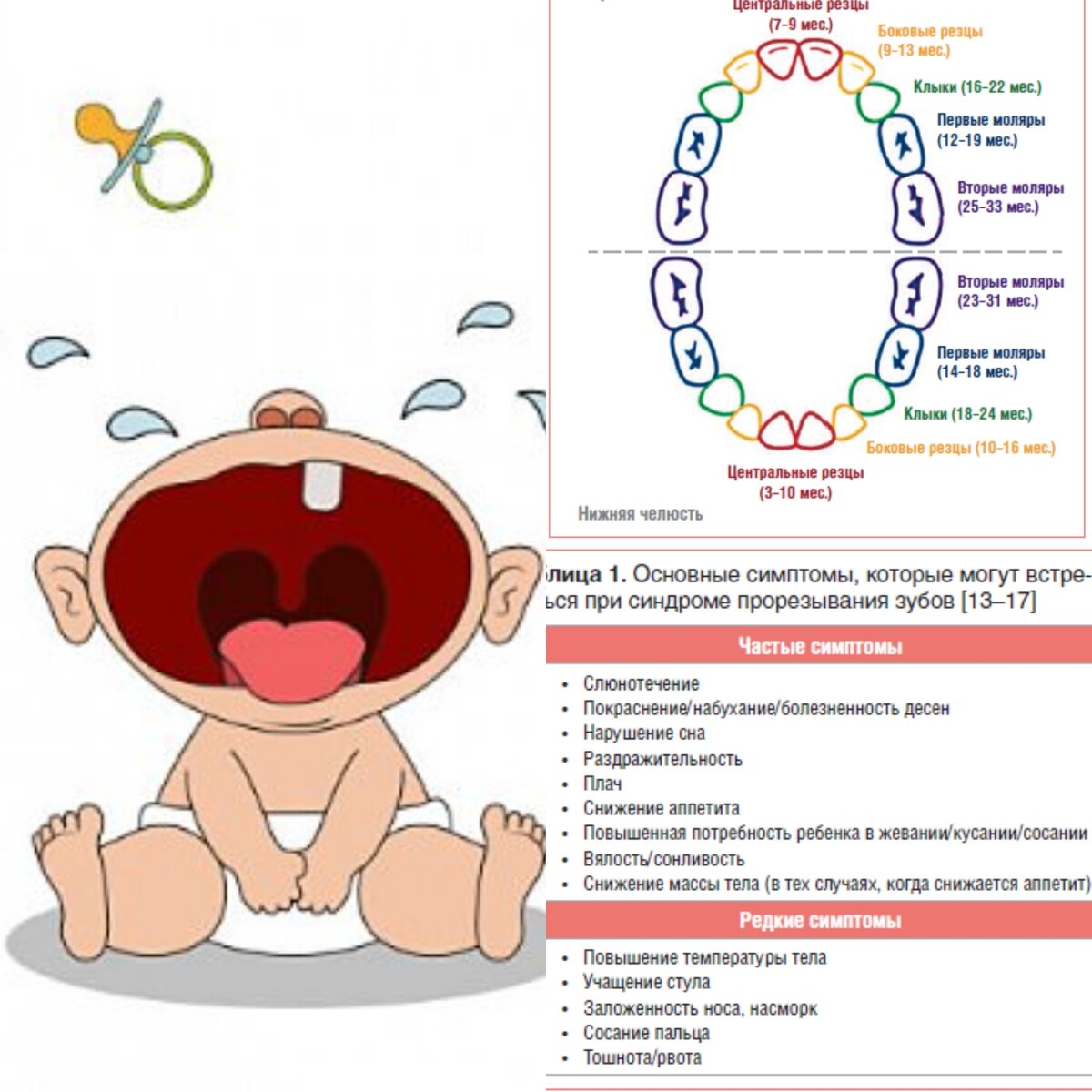 первые зубки у малыша, что нужно знать все родителям | Главные новости |  Дзен