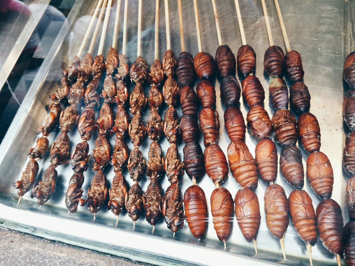 Такое тоже почему-то никто не ест. Но, все фотографируют