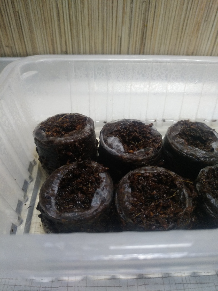 Листаем галерею ;)