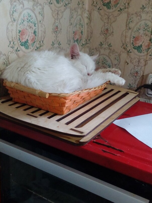 Сладкий отдыхает