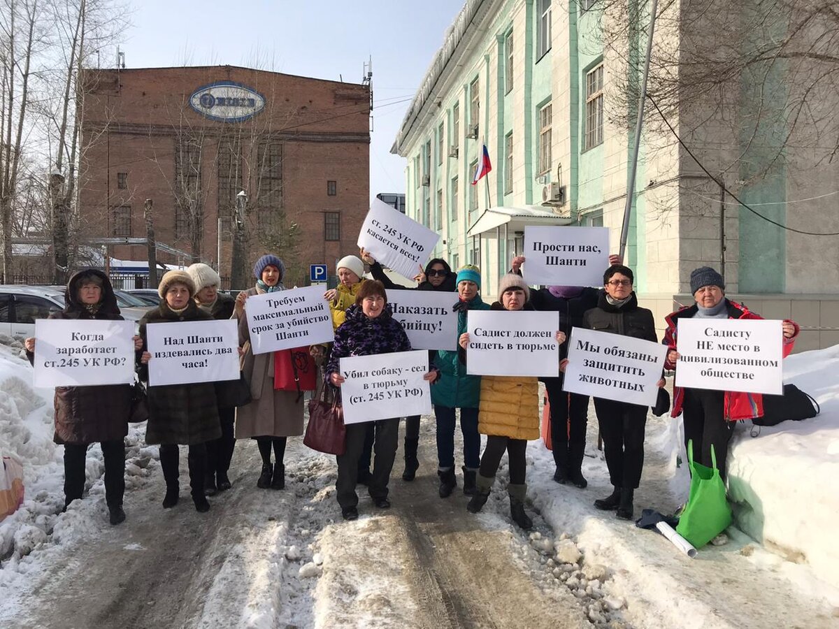 С такими плакатами зоозащитники и неравнодушные граждане вышли к зданию суда, где рассматривается резонансное дело о жестоком обращении с животными