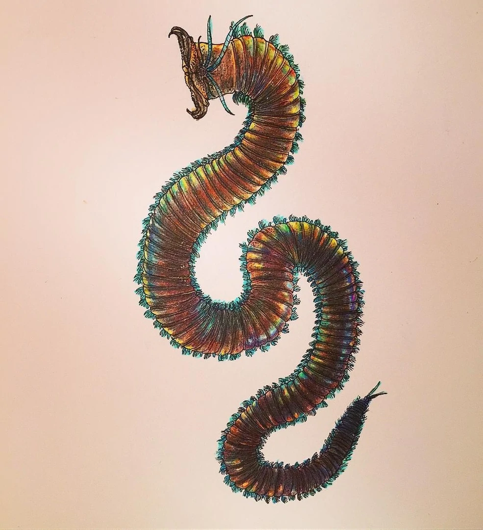 Созрел вопрос (by Liam Elward)